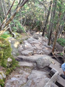 Laskumine. Mõni ime, et põlved põrutada said.